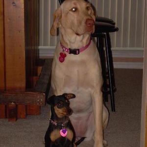 Meet your Posher, Michael